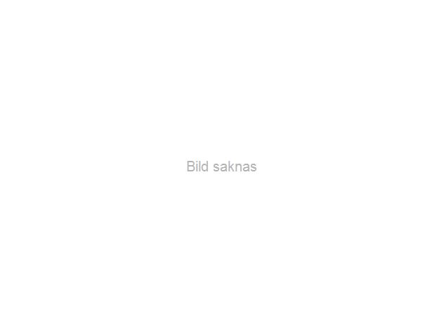 SALTSKEDAR 6